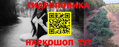 spice Рыбинск