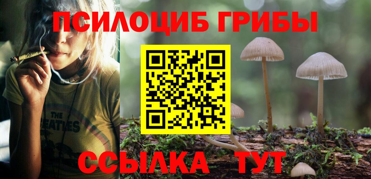 Сердобск  Псилоцибиновые грибы прущие грибы  Вход с VPN  Псилоцибиновые грибы прущие грибы 